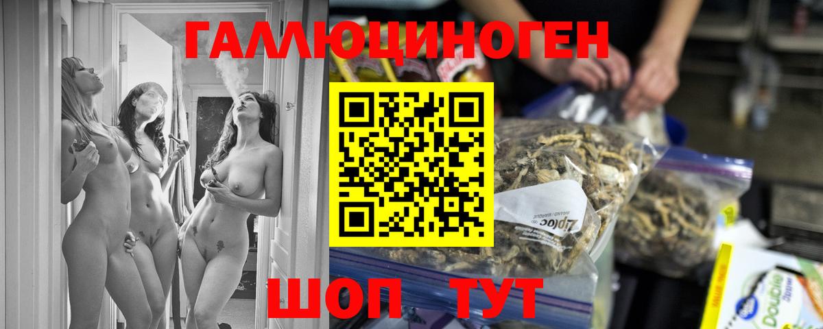 Шадринск  Галлюциногенные грибы Psilocybine cubensis  Вход с VPN 